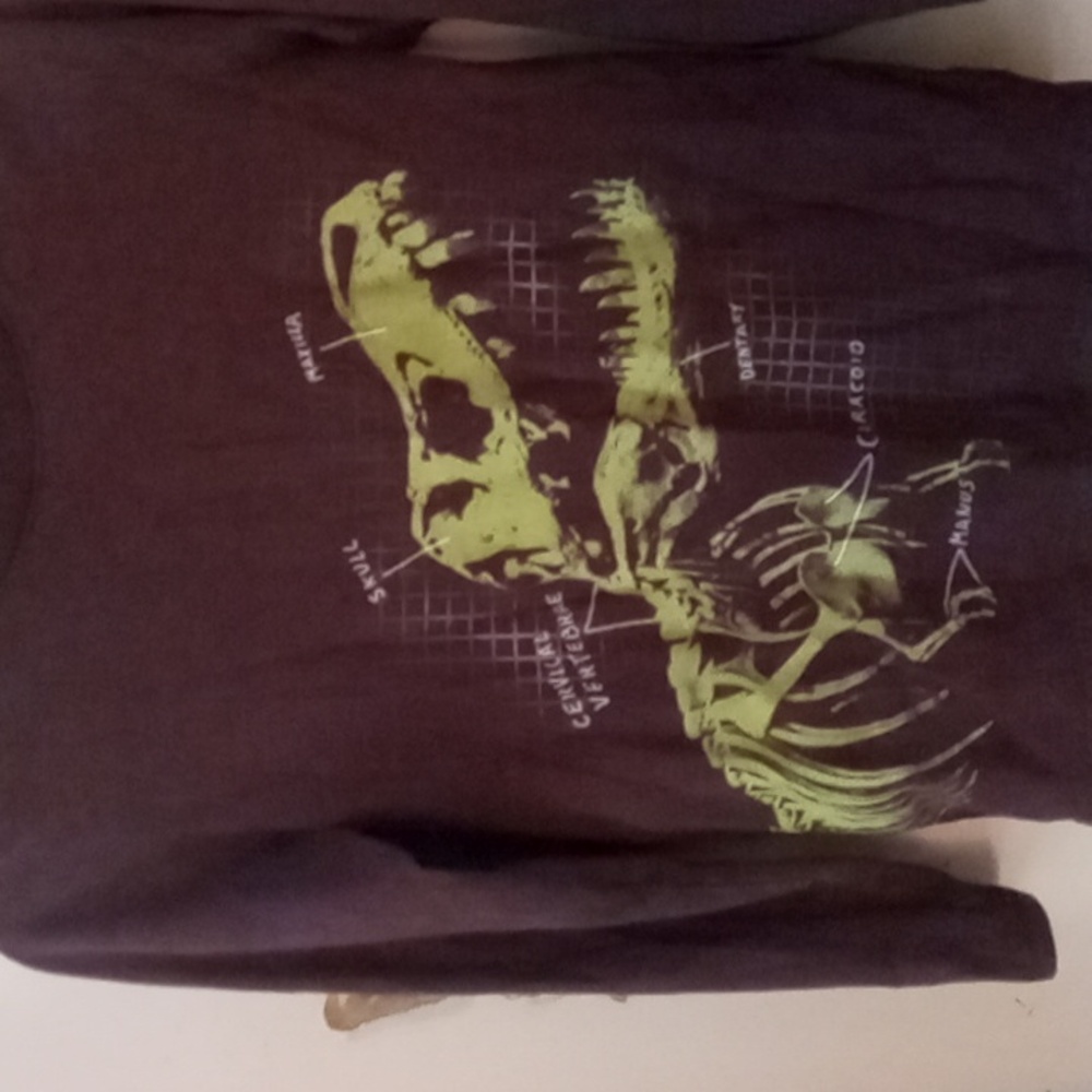 Cat&Jack size 6/7 long sleeve dinosaur shirt